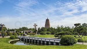 2026美加墨世界杯官网 崇明城市绿化养护管理标准